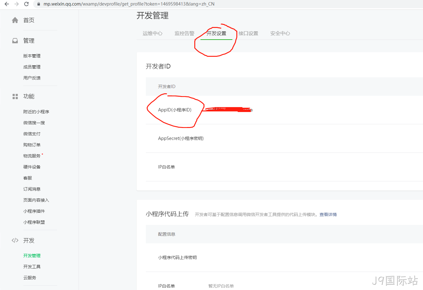 开发设置