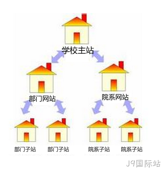 院系网站