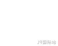 网站开发